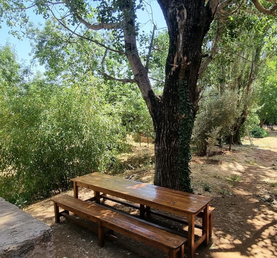 Gite Camping Amazigh アズルー エクステリア 写真