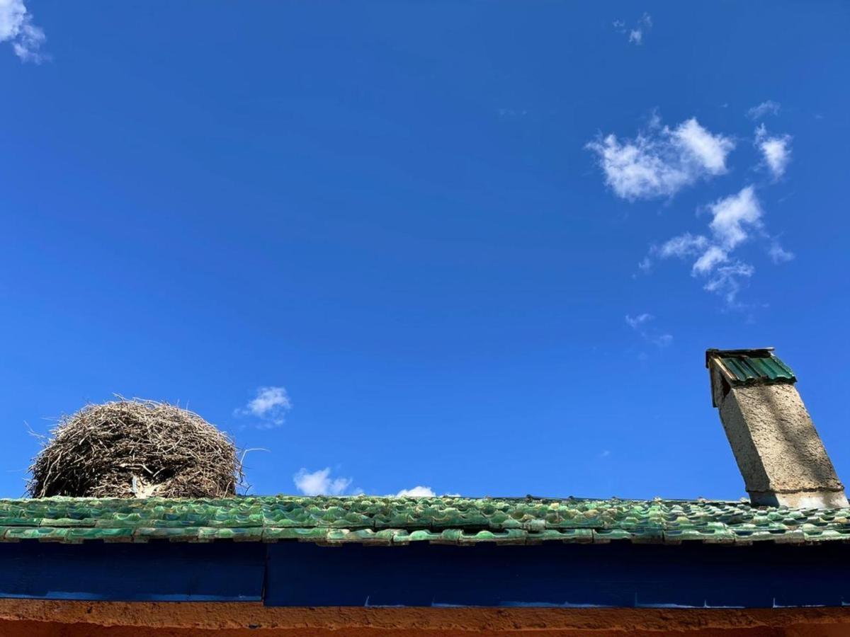 Gite Camping Amazigh アズルー エクステリア 写真